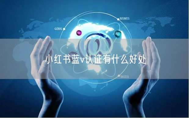 小红书蓝v认证有什么好处
